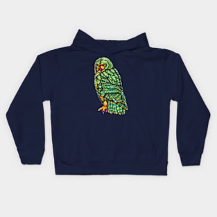 The Owl Totem Kids Hoodie